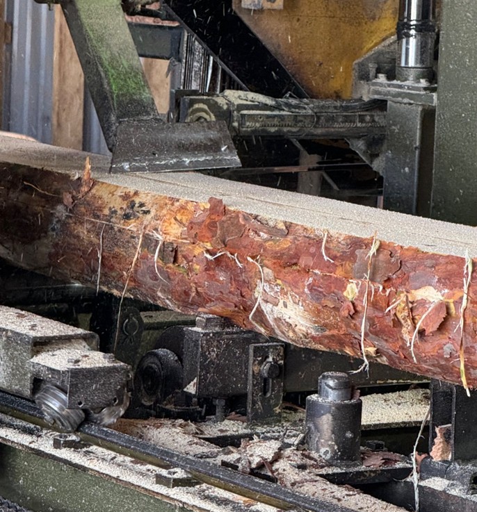 British Standard Certification